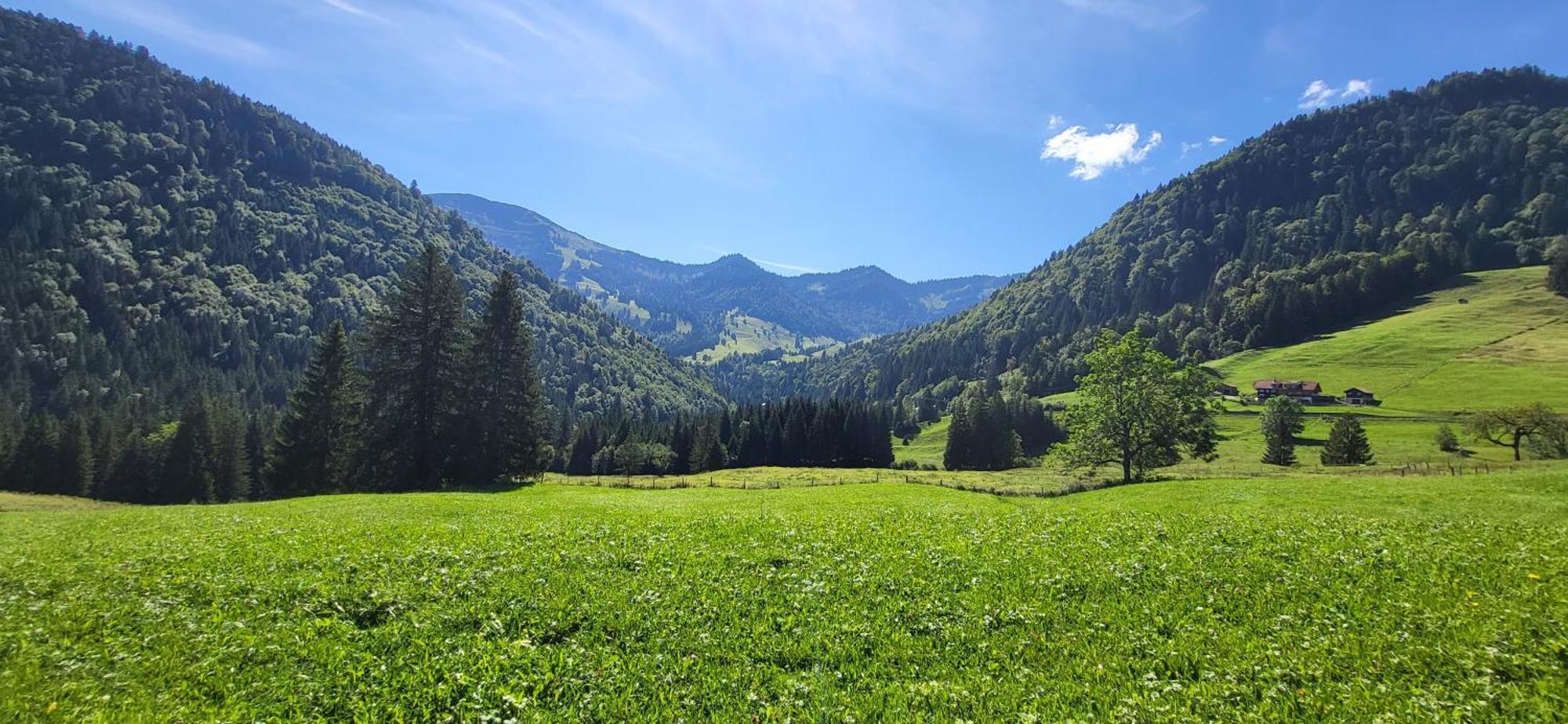 FeWo Allgäuzeit mit WLAN in Oberstaufen Steibis Exterior foto
